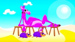 مجموعه آموزشی زبان انگلیسی little angel قسمت 205